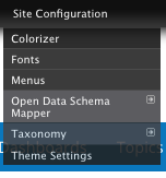 The Colorizer option, on the Site Configuration menu.